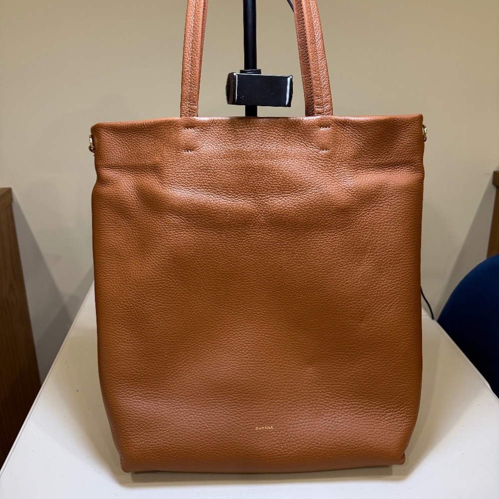 Cuyana Tall Easy Zipper Tote with Insert